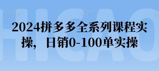 2024拼多多全系列课程实操，日销0-100单实操【必看】-知创网