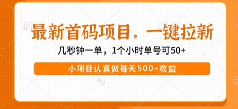 最新首码项目,操作最简单,收益高,一键拉新,1个小时单号可50+,小项目认真做每天5张+收益【揭秘】-知创网