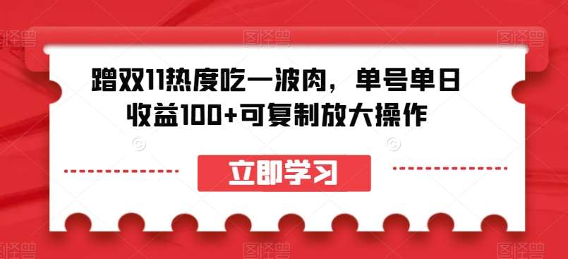 蹭双11热度吃一波肉，单号单日收益100+可复制放大操作【揭秘】-知创网