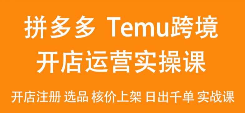 2024Temu最新玩法,Temu跨境开店运营实操课,开店注册/选品/核价上架/日出千单实战课-知创网