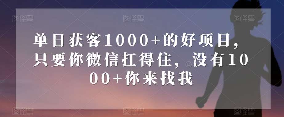 单日获客1000+的好项目,只要你微信扛得住,没有1000+你来找我【揭秘】-知创网