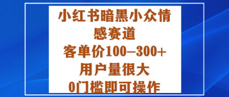 小红书暗黑小众情感赛道，客单价100-300+用户量很大，0门槛即可操作-知创网