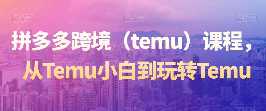 拼多多跨境（temu）课程，从Temu小白到玩转Temu-知创网