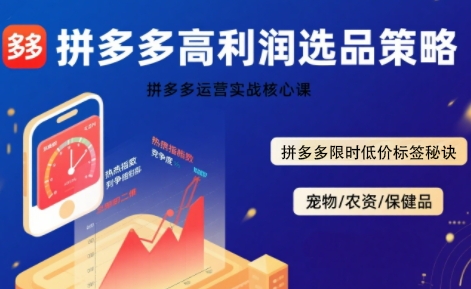 拼多多选品暴利技术实战课，拼多多高利润选品策略，拼多多限时低价标签秘诀-知创网