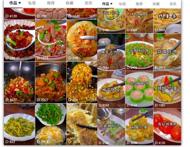 图片[2]-抖音带货美食领域课程，无需真人实拍仅靠剪辑实现涨粉-知创网