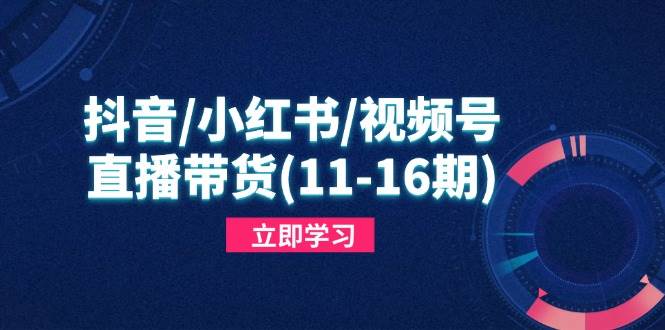 （14611期）抖音/小红书/视频号/直播带货(11-16期)，快速掌握平台规则，打造爆款内容-知创网