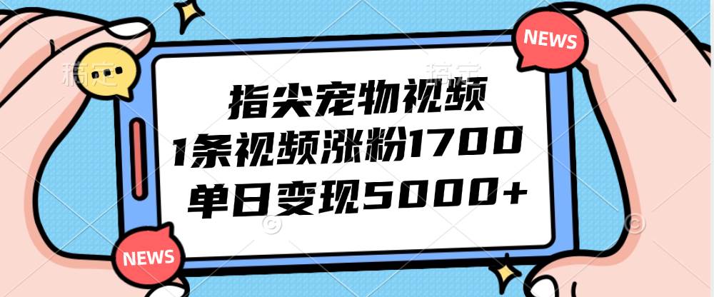 （12549期）指尖宠物视频，1条视频涨粉1700，单日变现5000+-知创网