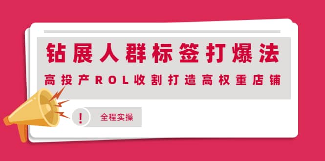 钻展人群标签打爆法，高投产ROL收割打造高权重店铺(全程实操)-知创网