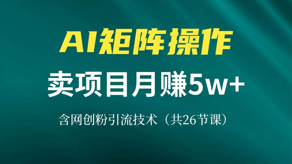 （13335期）网创IP打造课，借助AI卖项目月赚5万+，含引流技术（共26节课）-知创网
