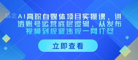 AI高阶自媒体项目实操课，讲透账号运营底层逻辑，从发布视频到规避违规一网打尽-知创网