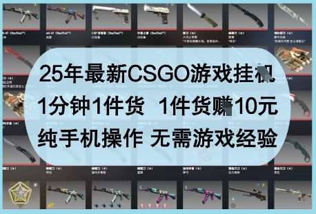 25年最新CSGO游戏挂G,1分钟1件货,1件货挣10元,纯手机操作,无需游戏经验【揭秘】-知创网