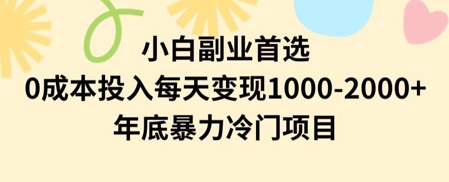 小白副业首选，0成本投入，每天变现1000-2000年底暴力冷门项目【揭秘】-知创网