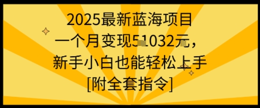 2025最新蓝海项目一个月变现1w+新手小白也能轻松上手【附全套指令】-知创网