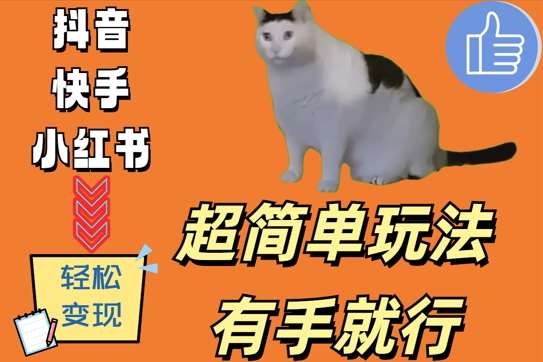 超简单玩法，有手就行，靠猫咪视频日入500+【揭秘】-知创网