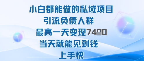 2025年小白都能做的私域项目引流负债人群最高一天变现1k+高变现难度低当天就能见到钱上手快-知创网