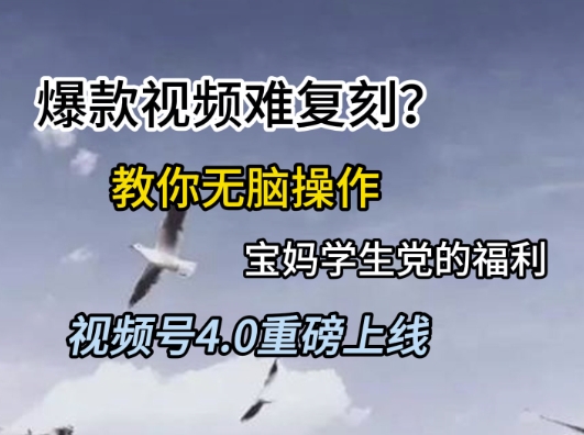 视频号4.0重磅上线，爆款视频难复刻？教你无脑操作宝妈学生党的福利【揭秘】-知创网