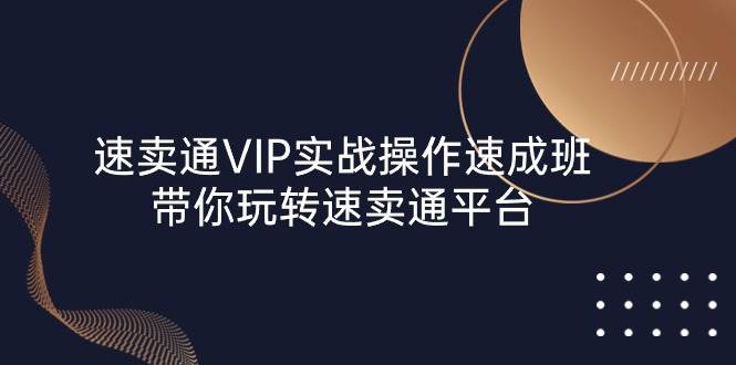 (10935期)速卖通 VIP实战操作-速成班,带你玩转速卖通平台(23节)-知创网