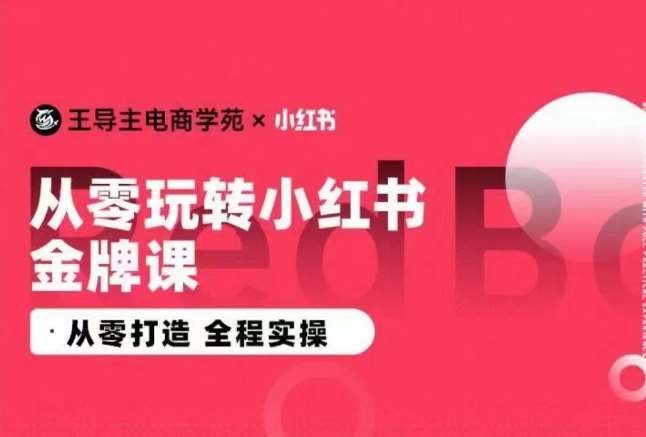 王导主·小红书电商运营实操课，​从零打造  全程实操-知创网