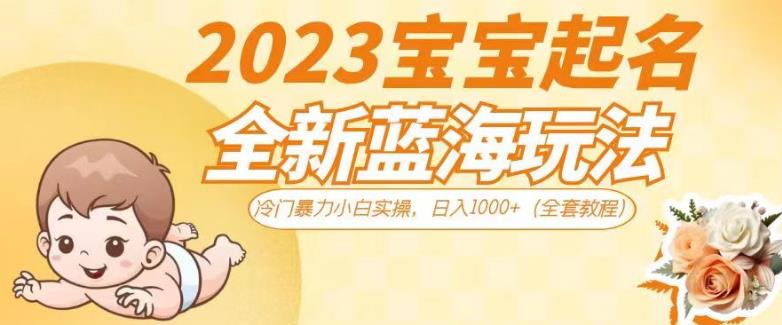 2023宝宝起名全新蓝海玩法,冷门暴力小白实操,日入1000+(全套教程)【揭秘】-知创网