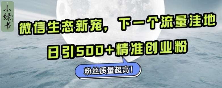 微信生态新宠小绿书：下一个流量洼地，日引500+精准创业粉，粉丝质量超高-知创网