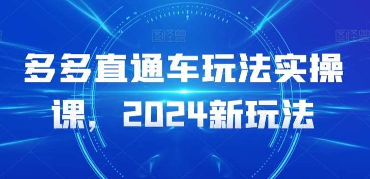 多多直通车玩法实操课,2024新玩法-知创网
