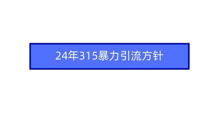 (9398期)2024年315暴力引流方针-知创网