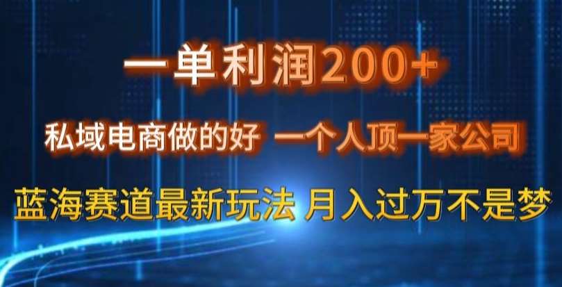 一单利润200私域电商做的好，一个人顶一家公司蓝海赛道最新玩法【揭秘】-知创网