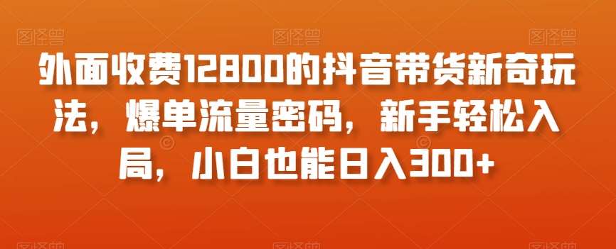 外面收费12800的抖音带货新奇玩法，爆单流量密码，新手轻松入局，小白也能日入300+【揭秘】-知创网