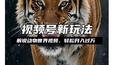 利用动物世界解说视频,赚分成计划收益,轻松月入过W,操作简单【揭秘】-知创网