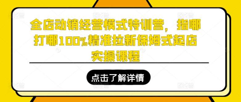 全店动销经营模式特训营，指哪打哪100%精准拉新保姆式起店实操课程-知创网