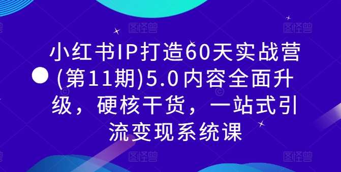 小红书IP打造60天实战营(第11期)5.0​内容全面升级，硬核干货，一站式引流变现系统课-知创网