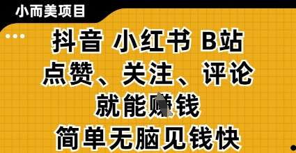 小而美的项目,抖音小红书B站视频点赞、关注、评论就能挣钱,简单无脑立见收益,妥妥的零撸项目【揭秘】-知创网