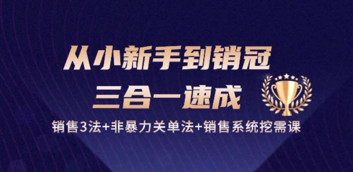 从小新手到销冠 三合一速成：销售3法+非暴力关单法+销售系统挖需课 (27节)-知创网