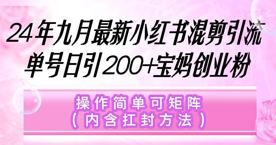 （12530期）小红书混剪引流，单号日引200+宝妈创业粉，操作简单可矩阵（内含扛封…-知创网