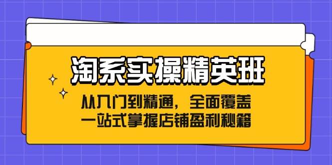 （12276期）淘系实操精英班：从入门到精通，全面覆盖，一站式掌握店铺盈利秘籍-知创网