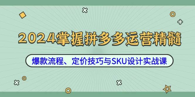 （12703期）2024掌握拼多多运营精髓：爆款流程、定价技巧与SKU设计实战课-知创网