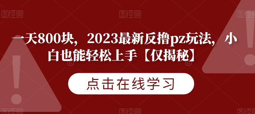 一天800块，2023最新反撸pz玩法，小白也能轻松上手【仅揭秘】-知创网