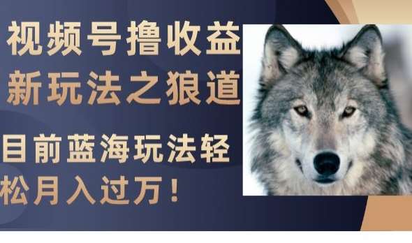 视频号撸收益新玩法之狼道，目前蓝海玩法，轻松月入过万【揭秘】-知创网