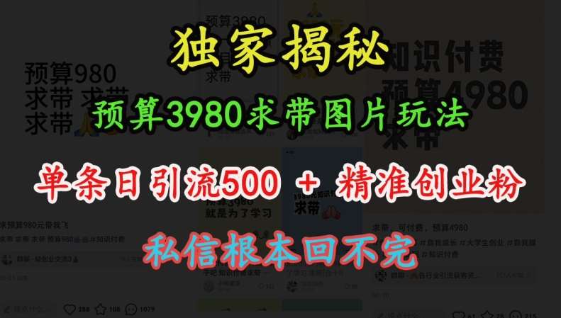 预算3980求带 图片玩法，单条日引流500+精准创业粉，私信根本回不完-知创网