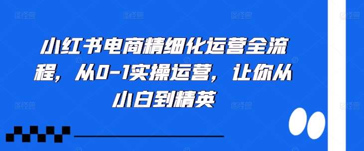 小红书电商精细化运营全流程，从0-1实操运营，让你从小白到精英-知创网