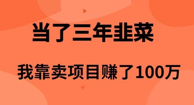 (10149期)当了3年韭菜,我靠卖项目赚了100万-知创网