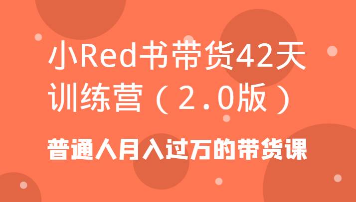 小Red书带货42天训练营（2.0版）普通人月入过万的带货课-知创网