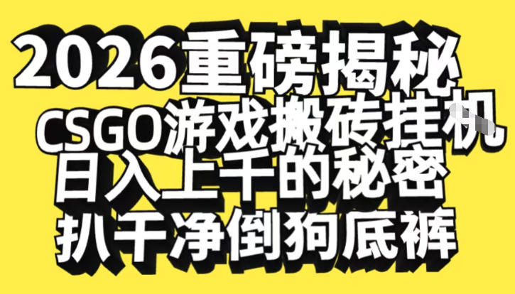2026开年重磅解密，CSGO游戏搬砖挂G日入1k+的秘密，把倒狗的底裤扒干【揭秘】-知创网