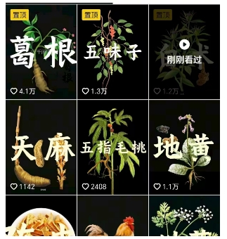 图片[2]-抖音中草药赛道，用AI做中草药故事视频，45条作品涨粉13W，橱窗带货猛猛出单-知创网