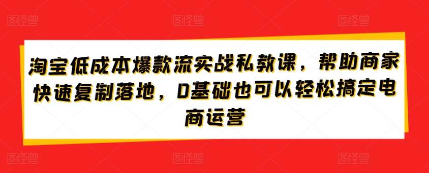 淘宝低成本爆款流实战私教课,帮助商家快速复制落地,0基础也可以轻松搞定电商运营-知创网