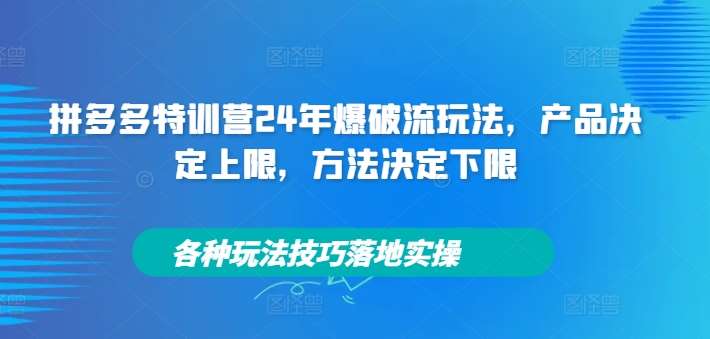拼多多特训营24年爆破流玩法,产品决定上限,方法决定下限,各种玩法技巧落地实操-知创网
