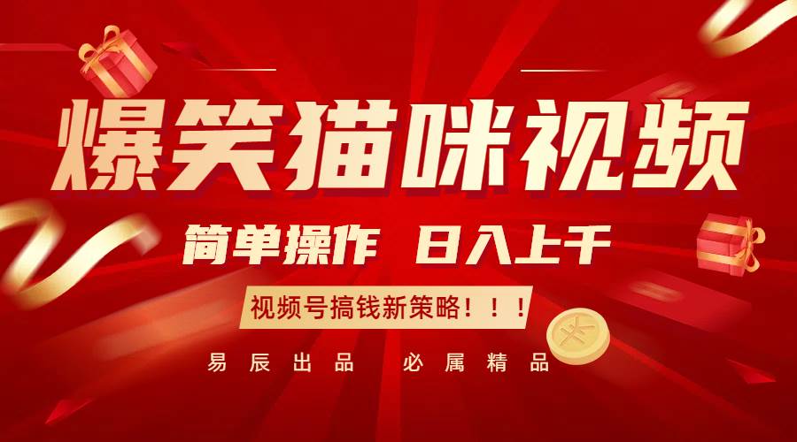 爆笑猫咪视频：简单操作，日入过千，视频号搞钱新策略！-知创网