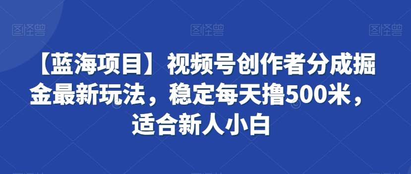 【蓝海项目】视频号创作者分成掘金最新玩法，稳定每天撸500米，适合新人小白【揭秘】-知创网