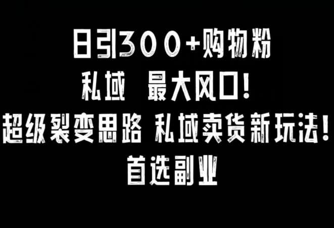 日引300+购物粉，超级裂变思路，私域卖货新玩法，小红书首选副业【揭秘】-知创网