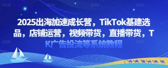 2025出海加速成长营，TikTok基建选品，店铺运营，视频带货，直播带货，TK广告投流等系统教程-知创网